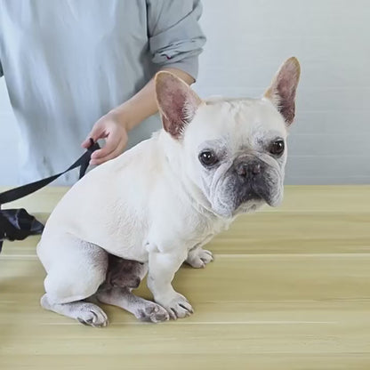 Botas antibarro con tirantes para perros
